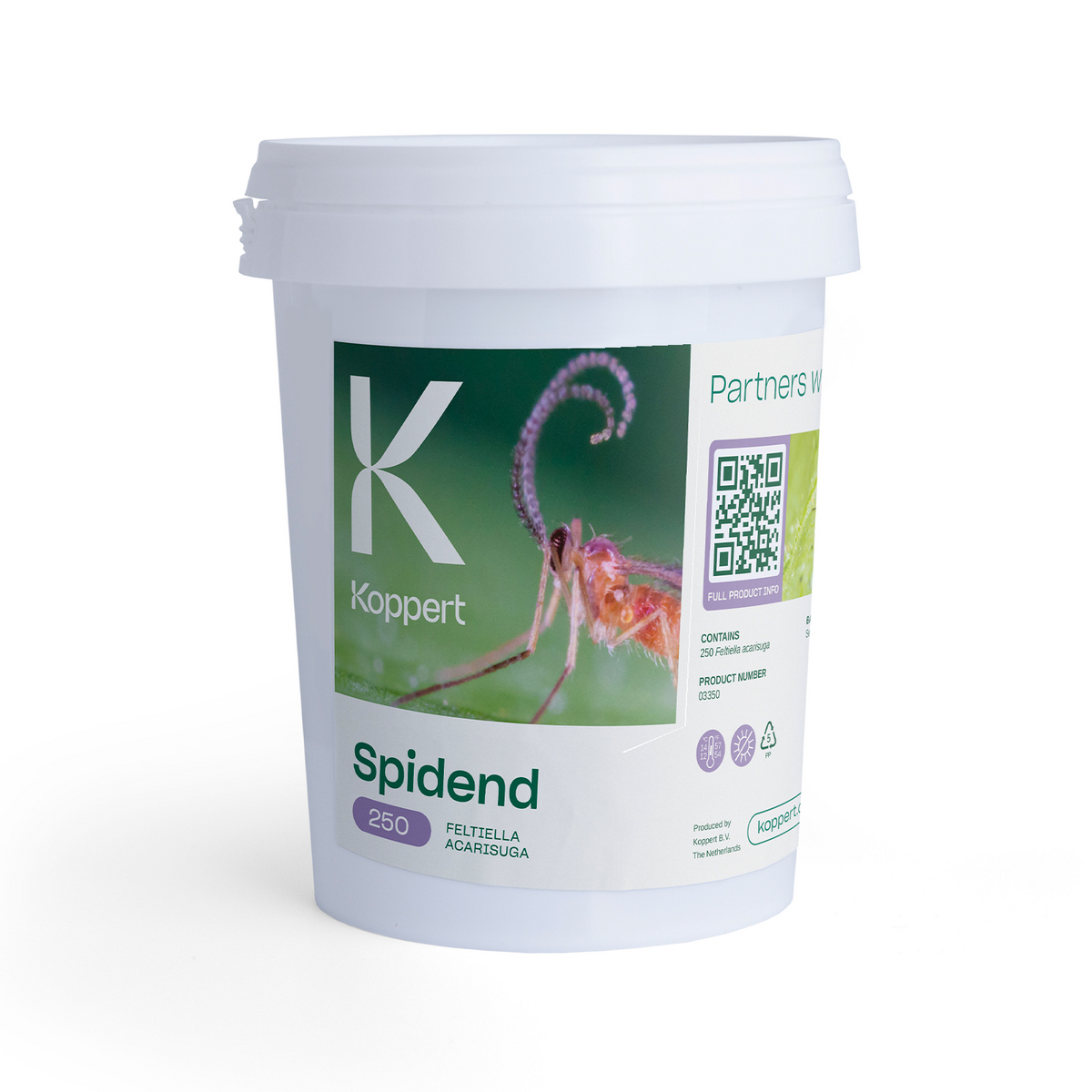 Spidend_250_520ml
