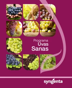 Portada programa uvas