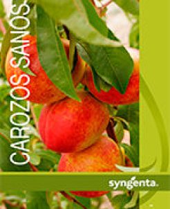 Programa Carozos Sanos